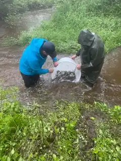 180 Stunden Ehrenamt für die Muscheln