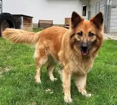 Das ist die „Juli“