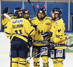 EHC Waldkraiburg im Viertelfinale