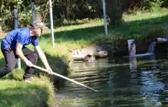 Fangfrischer Fisch für Aschermittwoch