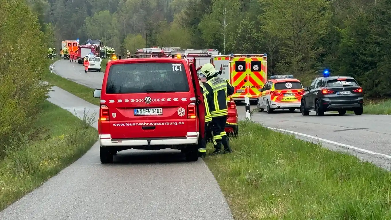 Mit Pkw im Wald gelandet