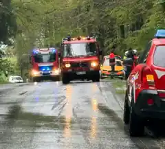 Pkw prallt gegen Baum
