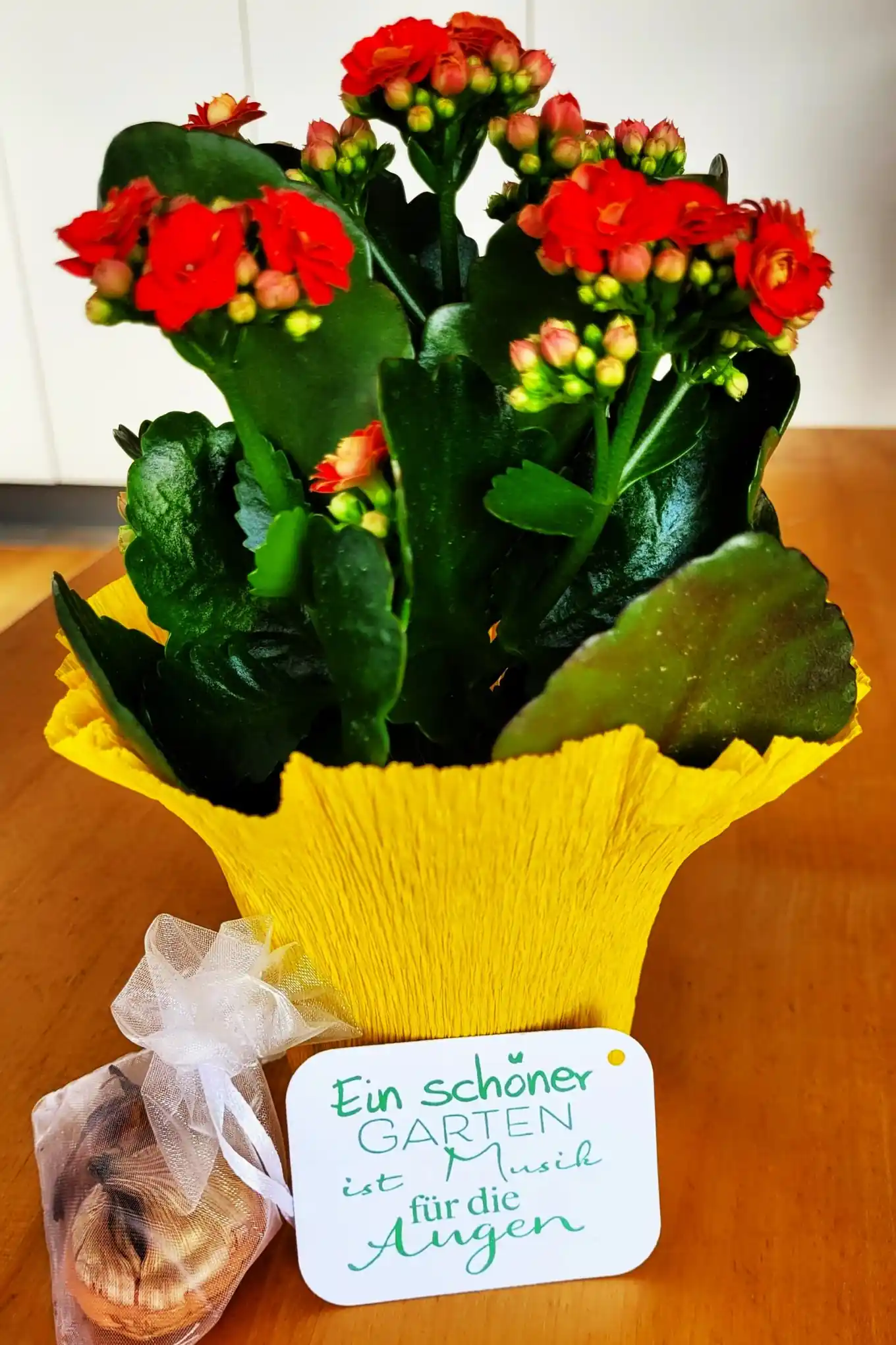 Mit Stauden durchs Jahr