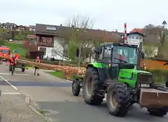 Das gute Stück ist da: Der Rotter Maibaum