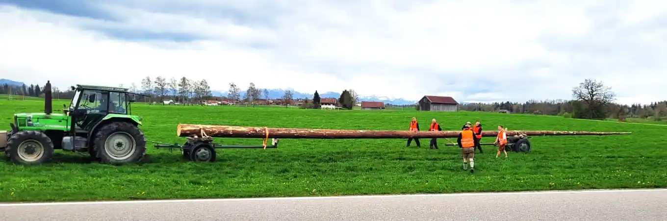 Und weg ist er, der Rotter Maibaum …