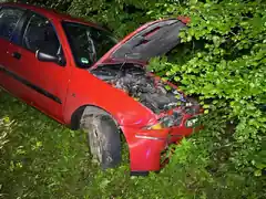 Im Streiter Forst im Einsatz
