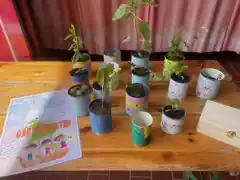 Pflanzen ein neues Zuhause geben