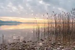Kontrolle des Naturschutzes