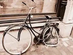 Die „Retter der Dinge“
