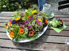 Essbare Blumen und Blüten entdecken