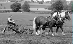 Historisches Landwirtschaftsfest