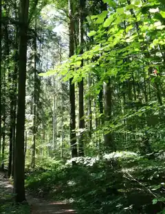 „Ratschwandern“ entlang der Innleiten