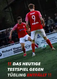 Löwen-Testspiel von Gästen abgesagt