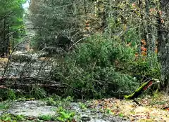 Unwetter-Folgen: Fußweg gesperrt