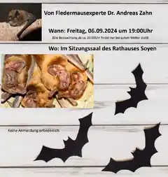 Wissenswertes über Fledermäuse