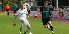 Auf Augenhöhe
