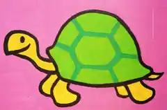 Wer vermisst eine Schildkröte?