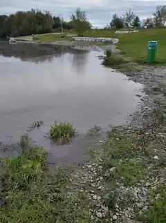 Höglinger Weiher: Algenplage bestätigt