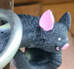 Mit Fledermaus Eugenia durch Wasserburg