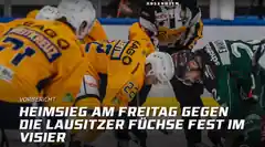 Die Lausitzer Füchse kommen