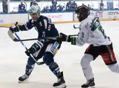 Starbulls Rosenheim unterliegen 2:5