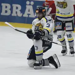 Ein Eishockey-Abend der besonderen Art