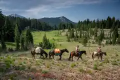 Zu Pferd durch Amerika