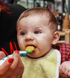 Von der Milch zum Brei