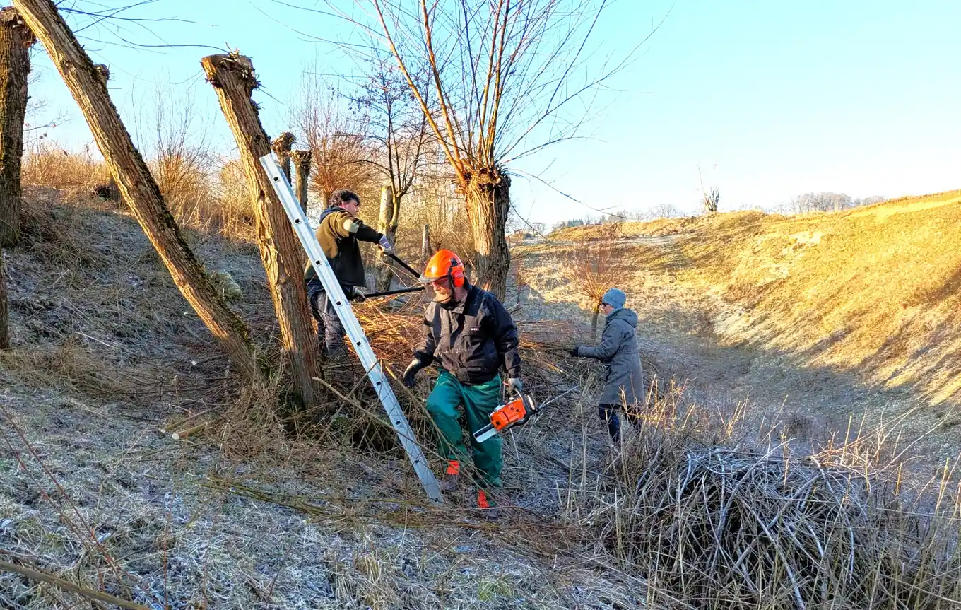 Im Namen der seltenen Tierarten