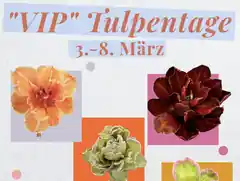 Vorfreude auf den Frühling