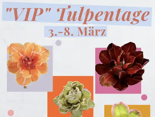 Vorfreude auf den Frühling