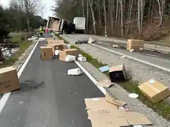 Lkw-Anhänger kracht gegen Baum