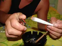 Acht Drogen-Dealer ermittelt