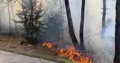 Warnung vor hoher Waldbrandgefahr