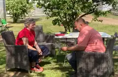 Tomatenpflanzerl für den eigenen Garten