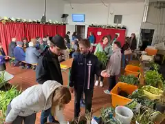 Die heimischen Gärten erblühen