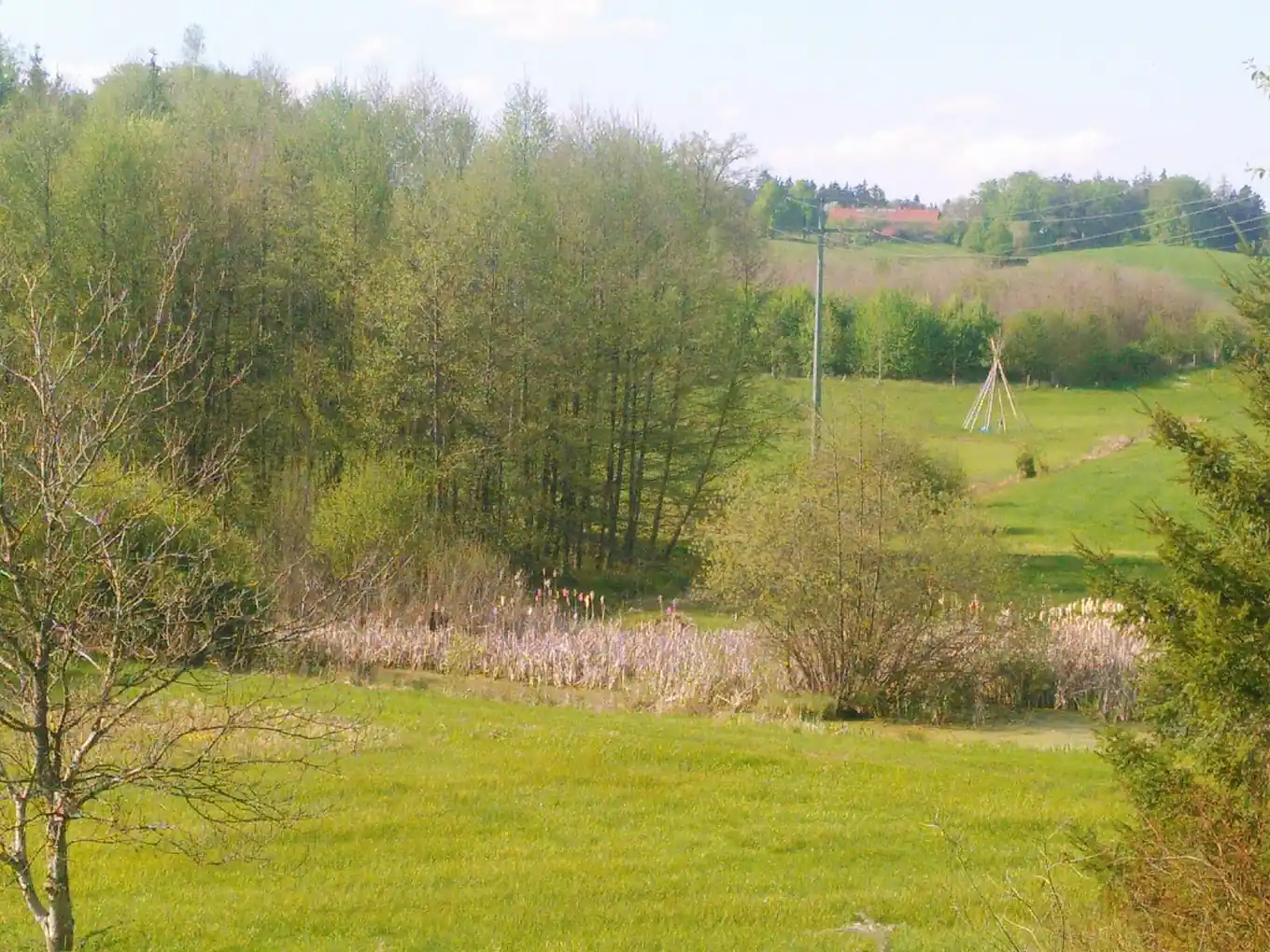 „Weiherfilz und Hohenburg im Mai“