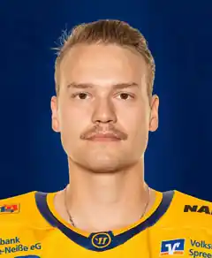 Von den Lausitzer Füchsen zu den Starbulls