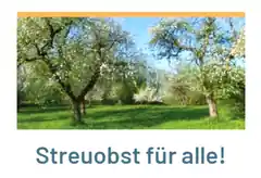 Aktion in Rott: Neues Grün für die Gemeinde