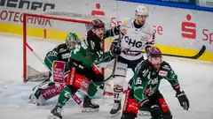 Neuer Stürmer für die Starbulls