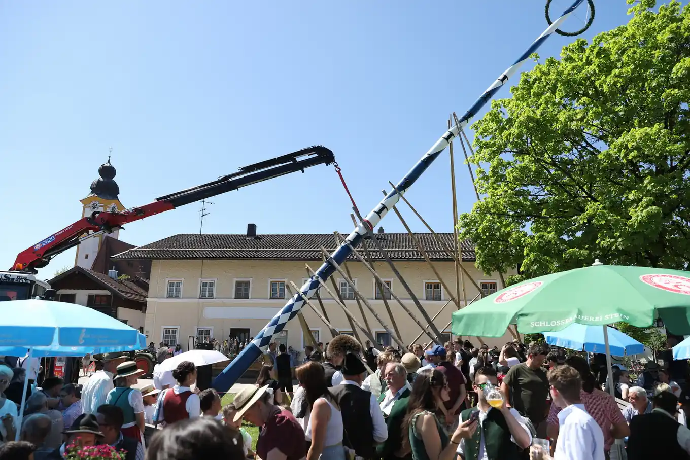 Hau-Ruck: Maibaum in Evenhausen steht