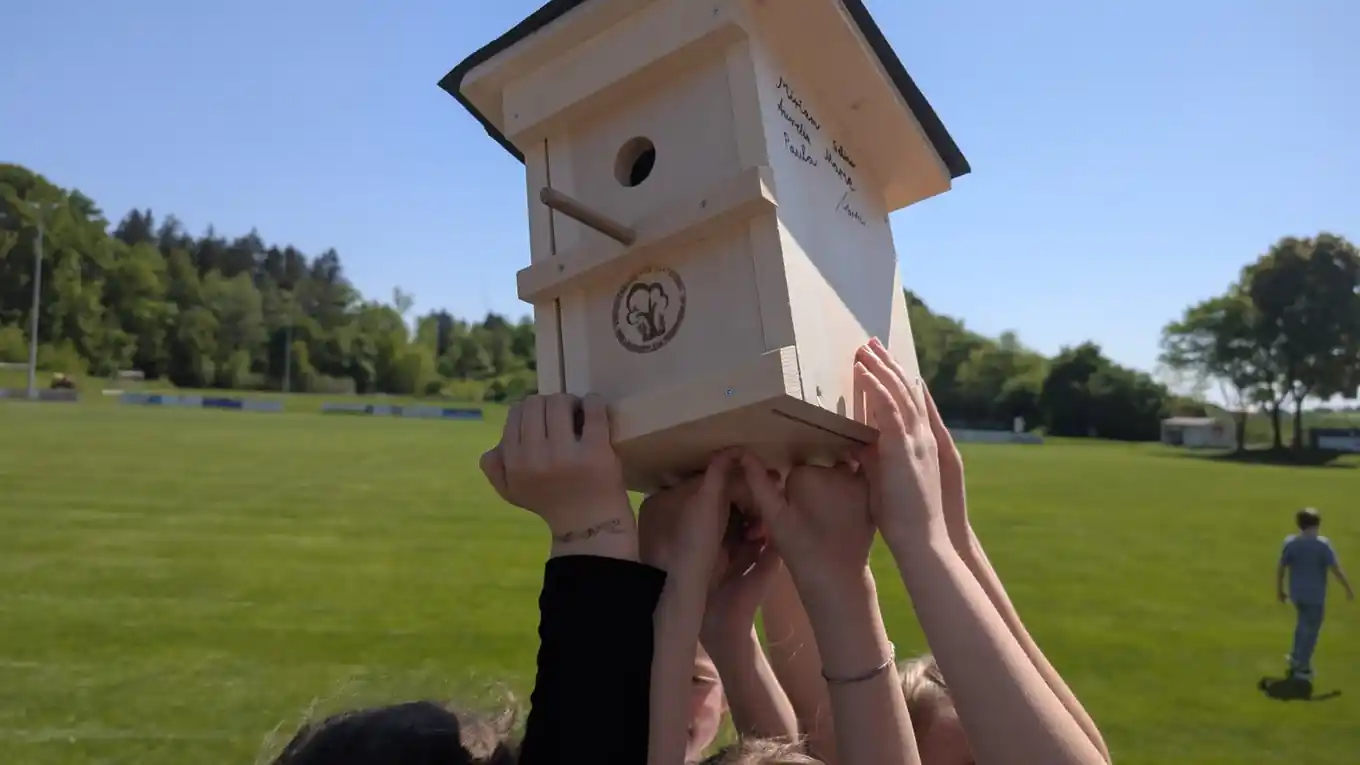 „Da freuen sich die Vögel“