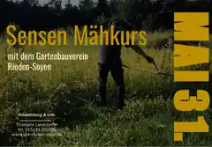 Für einen bienenfreundlichen Garten