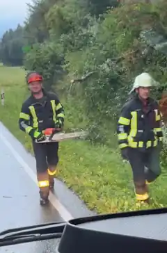 Mittwochabend: Baum stürzt auf B304