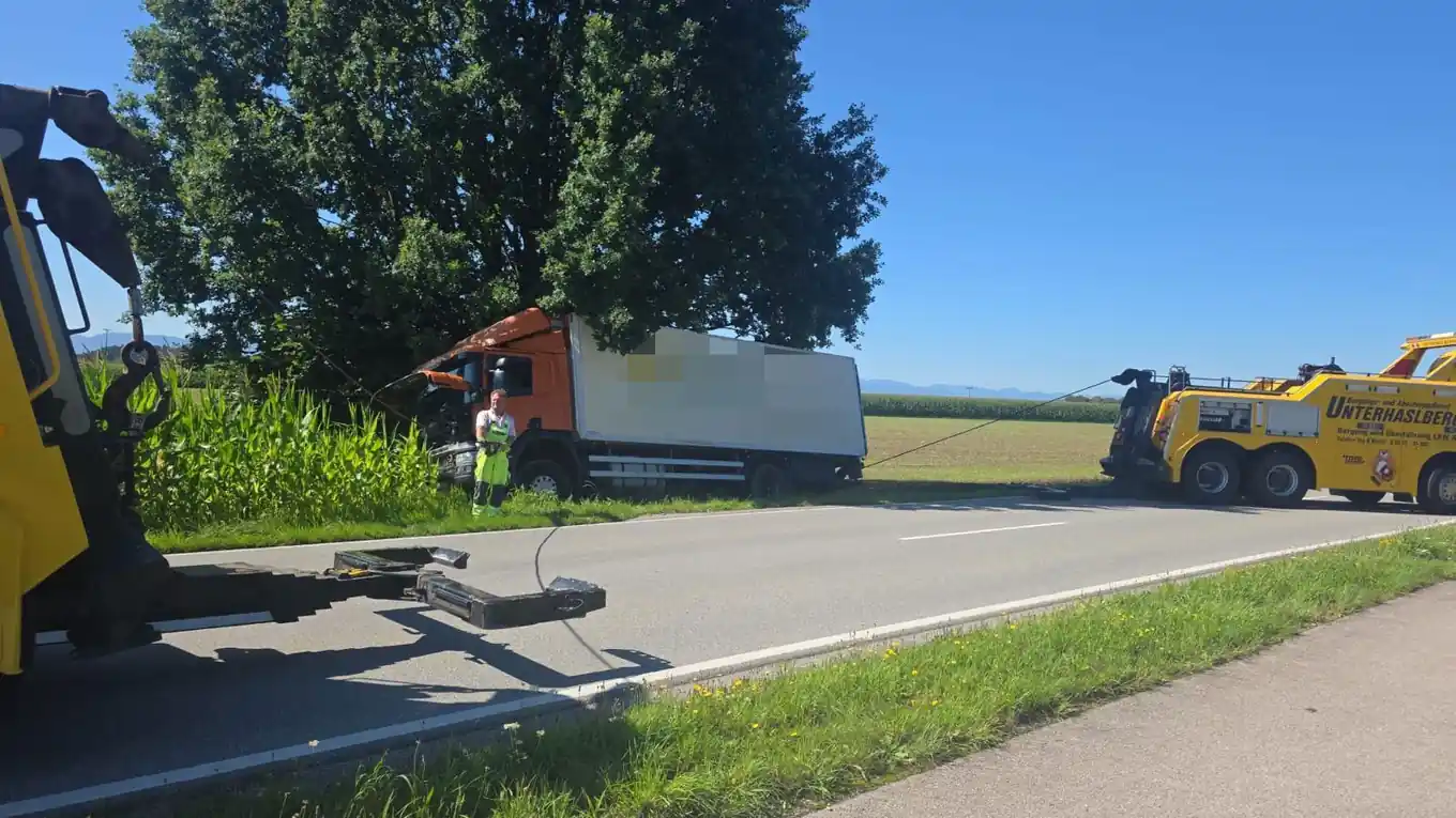 Laster landet im Grünen