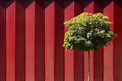 Alles nur Fassade