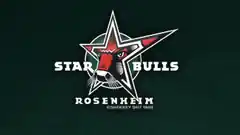 Starbulls unterliegen 1:3