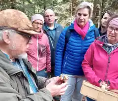 Tolle Schwammerl-Exkursion im Rotter Forst