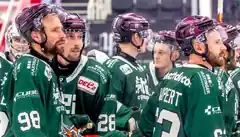 Morgen das Heimspiel-Highlight der Starbulls
