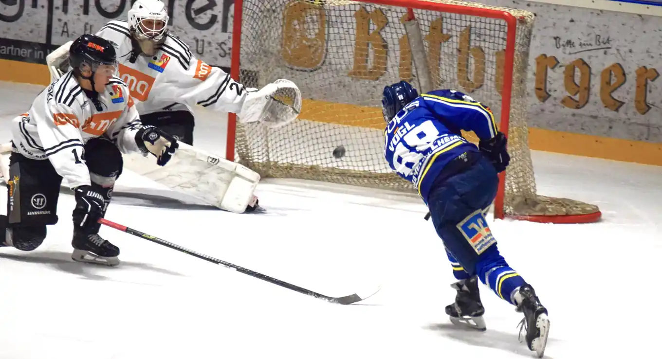 Sorry, Eisbären